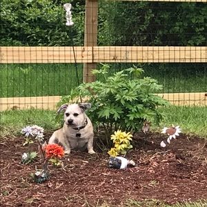 Meet your Posher, Margaret kelley